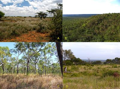 Editorial: Drivers of small-mammal community structure in tropical savannas